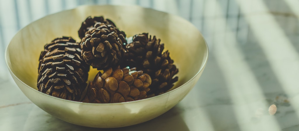 A bowl of pinecones serve as as decor in a mountainside chalet