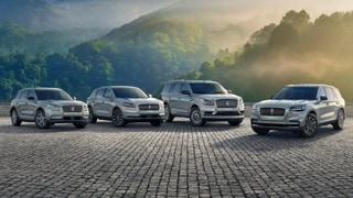 2021 Lincoln lineup parked on brick pavement with mountains and mist in background