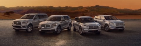 2021 Lincoln lineup parked on brick pavement with mountains and mist in background
