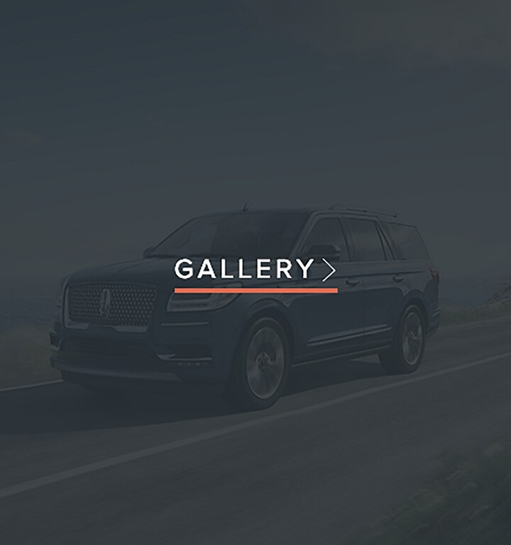 This gallery block allows you to click to view all gallery images