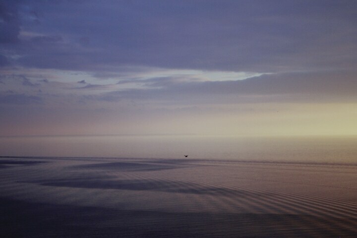 A morning scene of a coastal beach.
